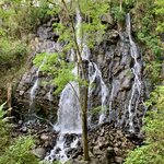 Photo taken by Barbara V