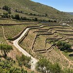 Photo taken by Bobbie X