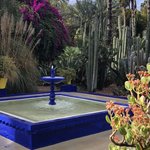 Majorelle garden  | Photo taken by Filipinas C