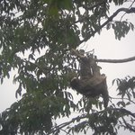 Photo taken by Claudia S