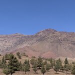 Photo taken by Nancy S