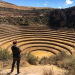 Moray | Photo taken by Danica P