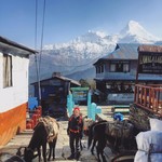 Village at start at trek | Photo taken by Philipp B