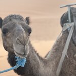 Photo taken by Tiffany M