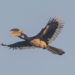 Photo taken by Graham D