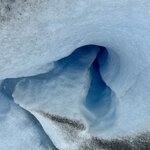 Photo taken by Yelena L