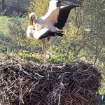 Photo taken by Don W