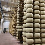 Photo taken by Debbie G