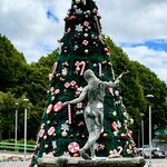 Photo taken by Caner K