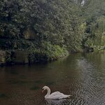 Photo taken by Shamma L