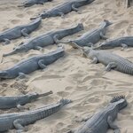 Photo taken by Cayden S