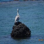 Photo taken by Jennifer Z