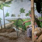 Photo taken by Shyamal N