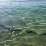 Photo taken by Patricia K