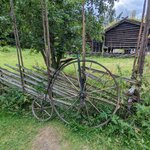 Photo taken by Dani L