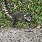 Photo taken by Kathy .