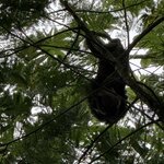 Photo taken by Steven C