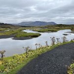 Photo taken by shelley w