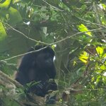 Photo taken by Lisa R