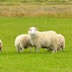 Photo taken by Marcia R