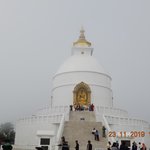 Photo taken by Wayne D