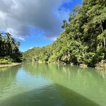 Photo taken by Edit M