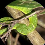 Photo taken by Carrie N