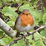 Photo taken by Kathryn S