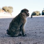 Photo taken by Adrien C