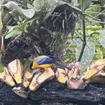 Photo taken by Mark A