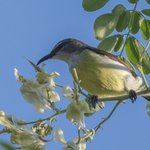 Photo taken by Graham D