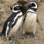 Photo taken by Sharon B