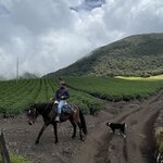 Photo taken by enrique jose g