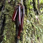 Photo taken by Ora Y