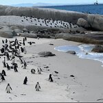 Photo taken by Kolla S