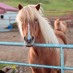 Photo taken by Yumi A