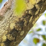 Photo taken by Martin L