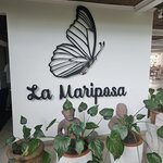 Photo taken by Mark S