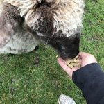 Photo taken by Alfredo H