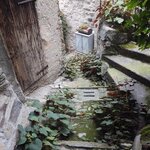 Photo taken by Rick L