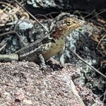 Photo taken by Jennifer A