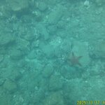 Photo taken by Richard P