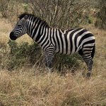 Photo taken by Virginia H