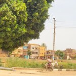 Photo taken by Kim M