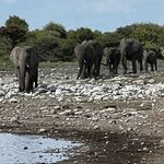 Photo taken by Peter L