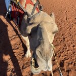 Photo taken by Kelsey D