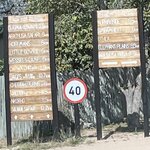 Photo taken by Joanne B