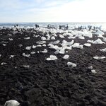 Photo taken by Erica B