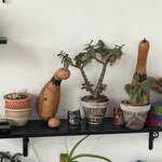 Photo taken by Vicki Lynn M