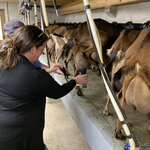 Photo taken by Jodi P